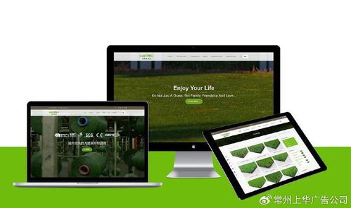 常州上華網絡公司 搭建跨境品牌橋梁，引領全球市場新浪潮